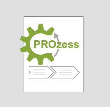 syneris Prozesslandkarte