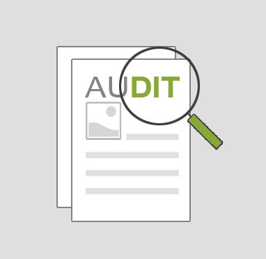 syneris Auditmanagement