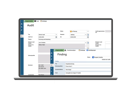 QM AuditFindings Web