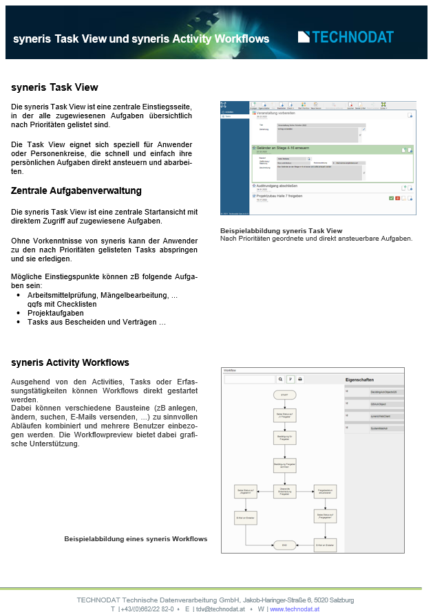 Technodat Flyer syneris Task View